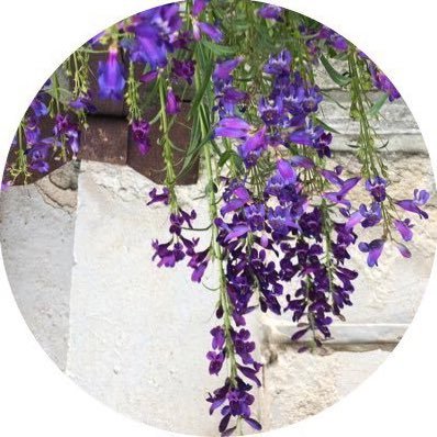 CarineM605's profile picture. 👩🏼‍💻 Indépendante, mariée, maman, de #droite #NouvelleEnergie #Liberte "Du fanatisme à la barbarie, il n'y a qu'un pas." Denis Diderot (1745)