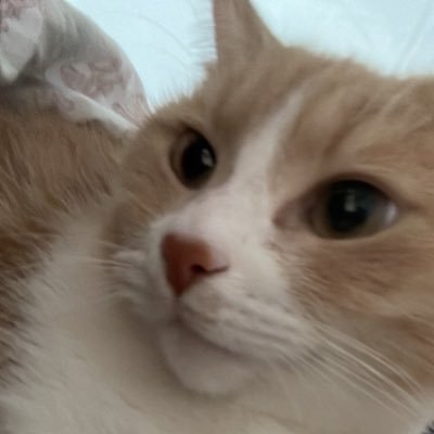 saxmachine0's profile picture. F