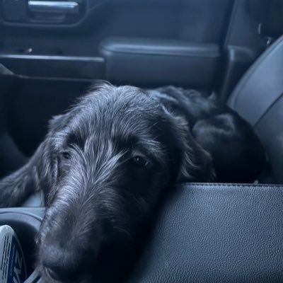 willw24's profile picture. shifting gears and drinking beers