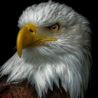 Ryley Gerlach (@gerlachryl55508) Twitter profile photo