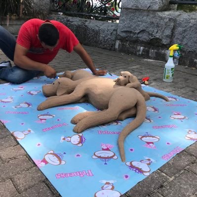 Joenirta434080's profile picture. 