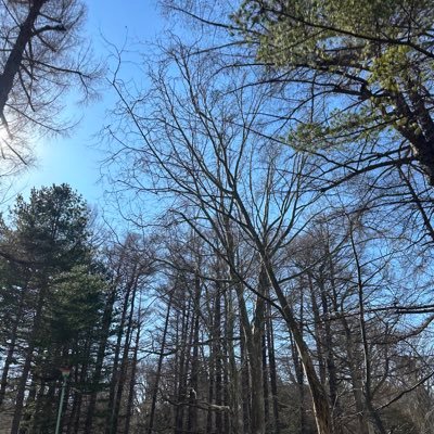 ri_kuO_R07's profile picture. 