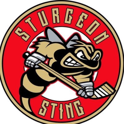 sting_aa's profile picture. Official X account for U11AA, U13AA, U15AA and U18AA Sturgeon Sting elite hockey teams for the ‘24/‘25 season. https://t.co/AzpoAIMF9p