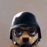 Selmer Bartell (@selmerbart93571) 's Twitter Profile