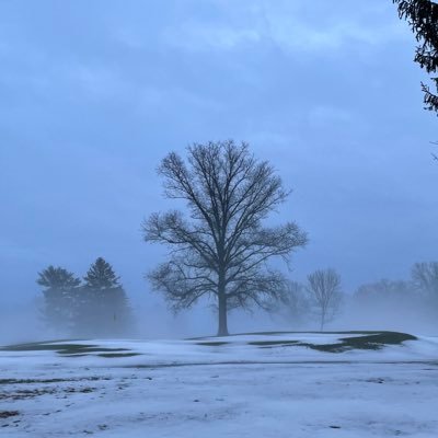 Thomas24554245's profile picture. 