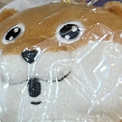 chaehojeong4's profile picture. NON