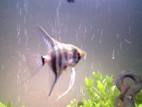 Maryligthgood's profile picture. 