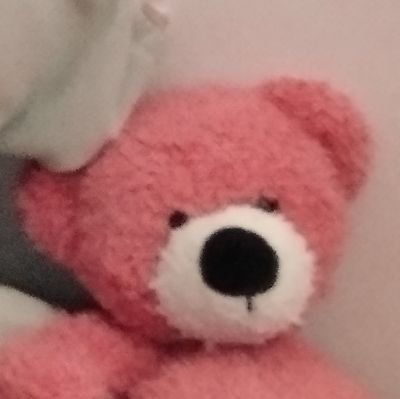 mapwidget15842's profile picture. 💪🪳