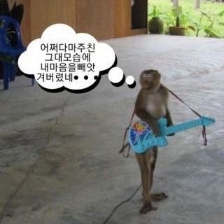 댈엄쥐さんのプロフィール画像