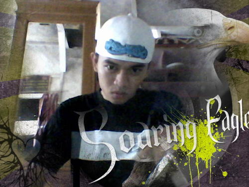 salmanalparisi2's profile picture. 