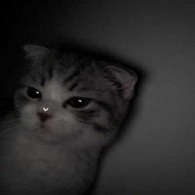 JesseSkyx__'s profile picture. 