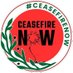 Cease Fire Now (@ceasefirenow06) Twitter profile photo