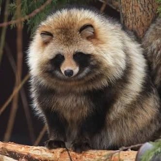 takahoshi___'s profile picture. 大阪に生息
180cm 70kg

お話ししましょ
よろしゅーね