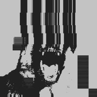 para (@parauk_) 's Twitter Profile