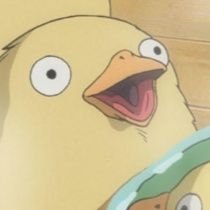 J3hKBBuoLa11382's profile picture. 鳥好き🦜昭和のヤングサバイバー平成になり両親に統失診断が下っても…毒親の介護中
#共同親権は廃案に　
　#香害は公害
つぶやき用