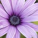 Taylor Coppock - @TaylorCoppock - Twitter