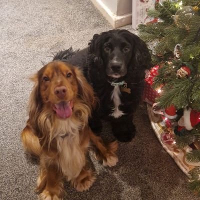 jasonfuller72's profile picture. #COYQ!