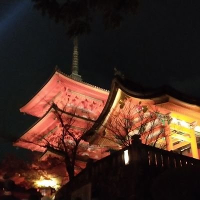 1d6qi2bToR46199's profile picture. 