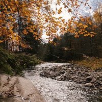 Houston Barton (@barton77957) 's Twitter Profile