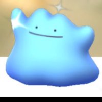 ぽち (@poti77777) 's Twitter Profile