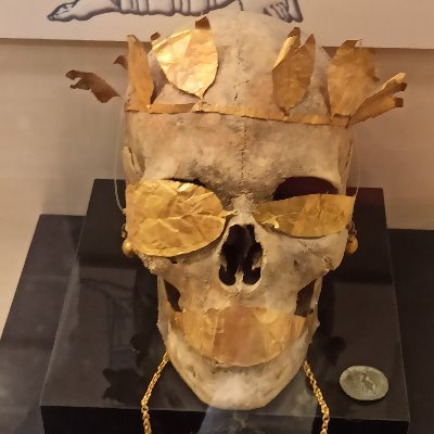 KustemirTuna2's profile picture. REİS