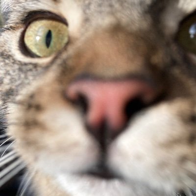 TheBuckBanzai's profile picture. In the 8th dimension