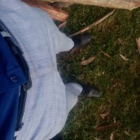 Calistus Mikangi (@calytocaly) 's Twitter Profile