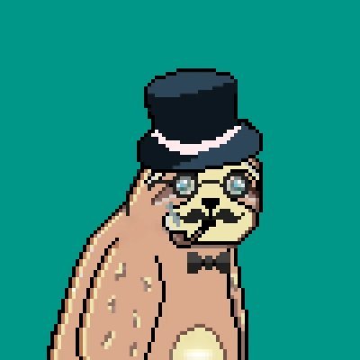 Wise Sloth Club 🦥さんのプロフィール画像