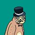 Wise Sloth Club 🦥 (@wiseslothclub) Twitter profile photo Wise Sloth Club 🦥 (@wiseslothclub) Twitter profile photo