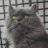 Profile image of π
Όπ
Έππ
Έπ
΅ππ¦