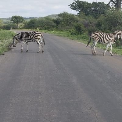 stevenchisa's profile picture. You must start somewhere,to become something in life.