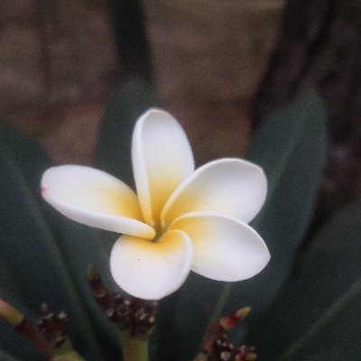 MDRANA1877188's profile picture. 