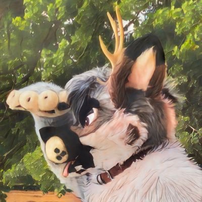 antlersandstuff's profile picture. Deerdog. Occasional anxiety. Have antlers, will travel…