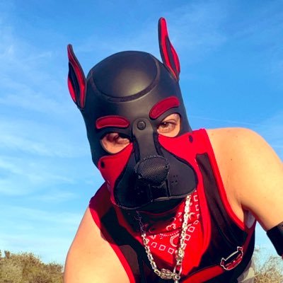 Level 31 Switch (α/β) ⬇️↔️|🔞| Follow: @PupBlazeFF | He/Him | Sadist/ABDL/Pup | non-conformist by design | amaz: https://t.co/zhyspPbVTH | lenshead 📸