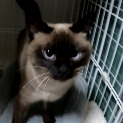 動画あげてます!心霊スポットや面白スポット 生き物。
https://t.co/DGOg4a7z8x…