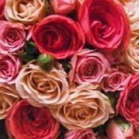 MIKMewati (@mikhan29503357) 's Twitter Profile