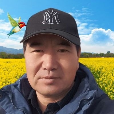 dngbiwng1852's profile picture.
