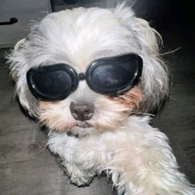 QuinyceM94715's profile picture. hi🤍