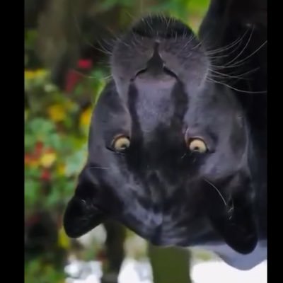 MariePPrune's profile picture. 