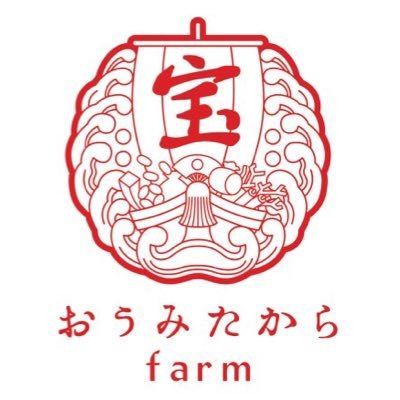 滋賀県の農業経験0企業が新規就農👩🏼‍🌾 大玉トマト、中玉トマト滋賀県内各店舗販売中🍅