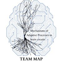 MAP team(@MAPteam_neuro) 's Twitter Profileg