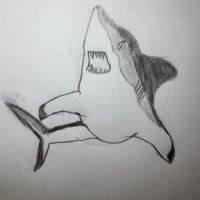 アカザメ (@zeroatk4208) 's Twitter Profile