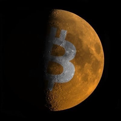 Bitcoin_200k Profile Picture