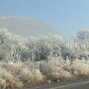 Irma Valentin - @IrmaValent75566 - Twitter