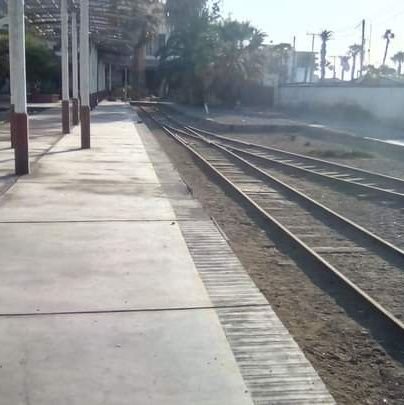 GuajardoMonica's profile picture. AMO  LA VIDA Y EL MAR.