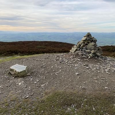 DontDodgeTaxes's profile picture. Natural born trans woman - ❤️'s democracy and chickens. Pronouns  - Dude/Chick/Oi/Nugget.