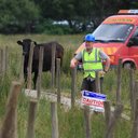 Dylan Jackman - @LakesDylan - Twitter