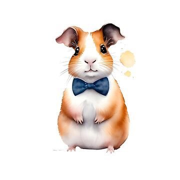 BowTieGuineaPig Profile Picture