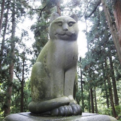 mmm_mkt's profile picture.