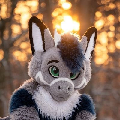 Fluffy Dragon|🏳️‍🌈🦊💙|Snowboard Derg|E-MTB🤟|Photographie|Fursuiter|Electrician|18+ Can contain lewds~| 🔜 AC,EF